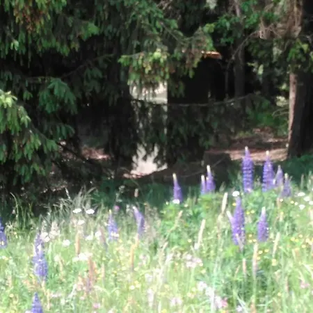 Lüks kamp alanı Maringotka Ticha