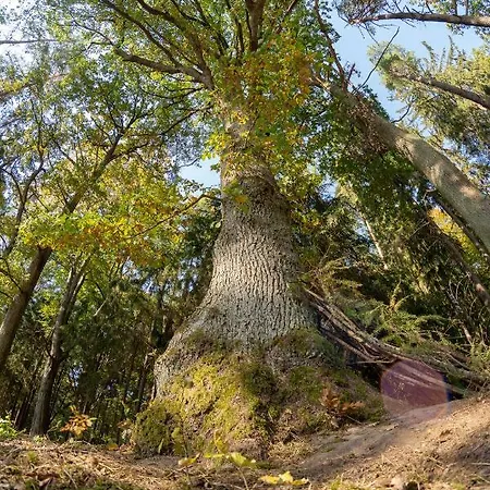 Maringotka Ticha Dvůr Králové nad Labem