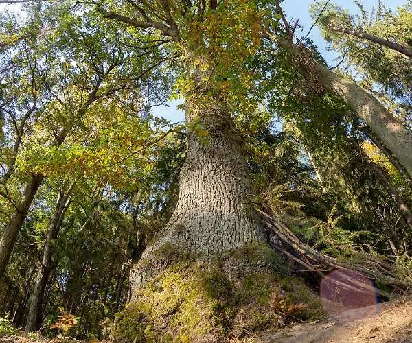 Maringotka Ticha Dvůr Králové nad Labem